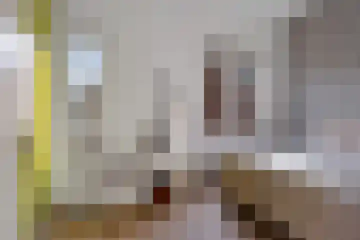 Carolus Linnaeusborg 40 Schiedam thumbnail 33