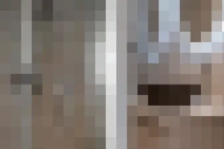 Carolus Linnaeusborg 40 Schiedam thumbnail 37