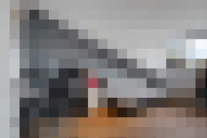 Carolus Linnaeusborg 40 Schiedam thumbnail 39
