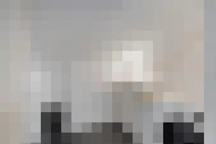 Carolus Linnaeusborg 40 Schiedam thumbnail 42