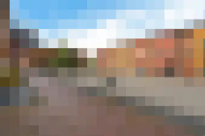 Carolus Linnaeusborg 40 Schiedam thumbnail 6