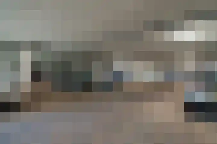 Carolus Linnaeusborg 40 Schiedam thumbnail 7