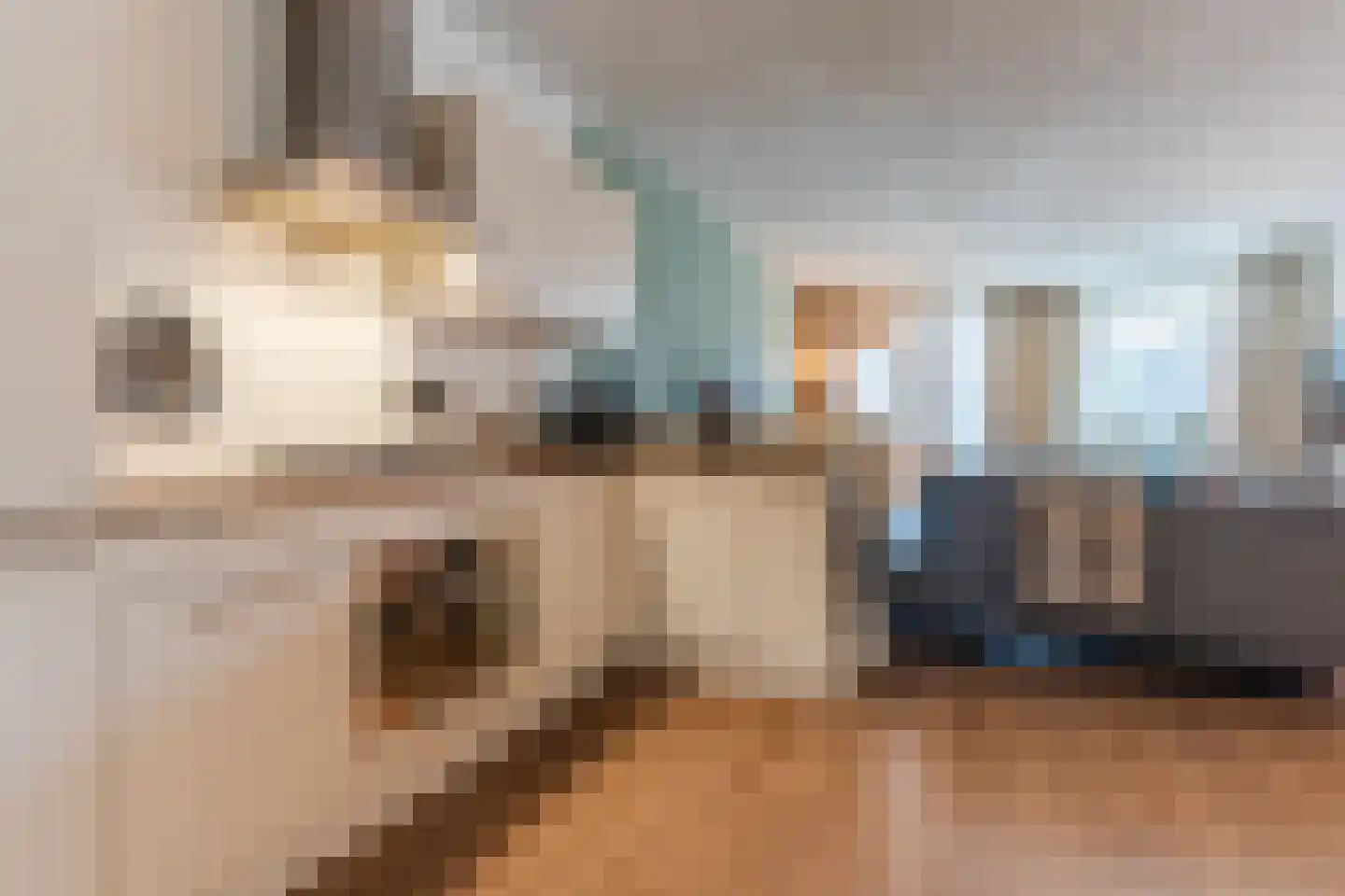 Carolusdreef 2 Valkenswaard thumbnail 18
