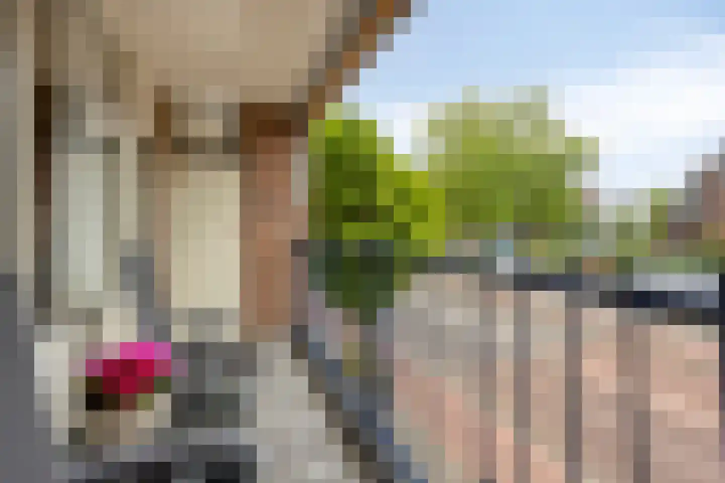 Carolusdreef 20 Valkenswaard thumbnail 22