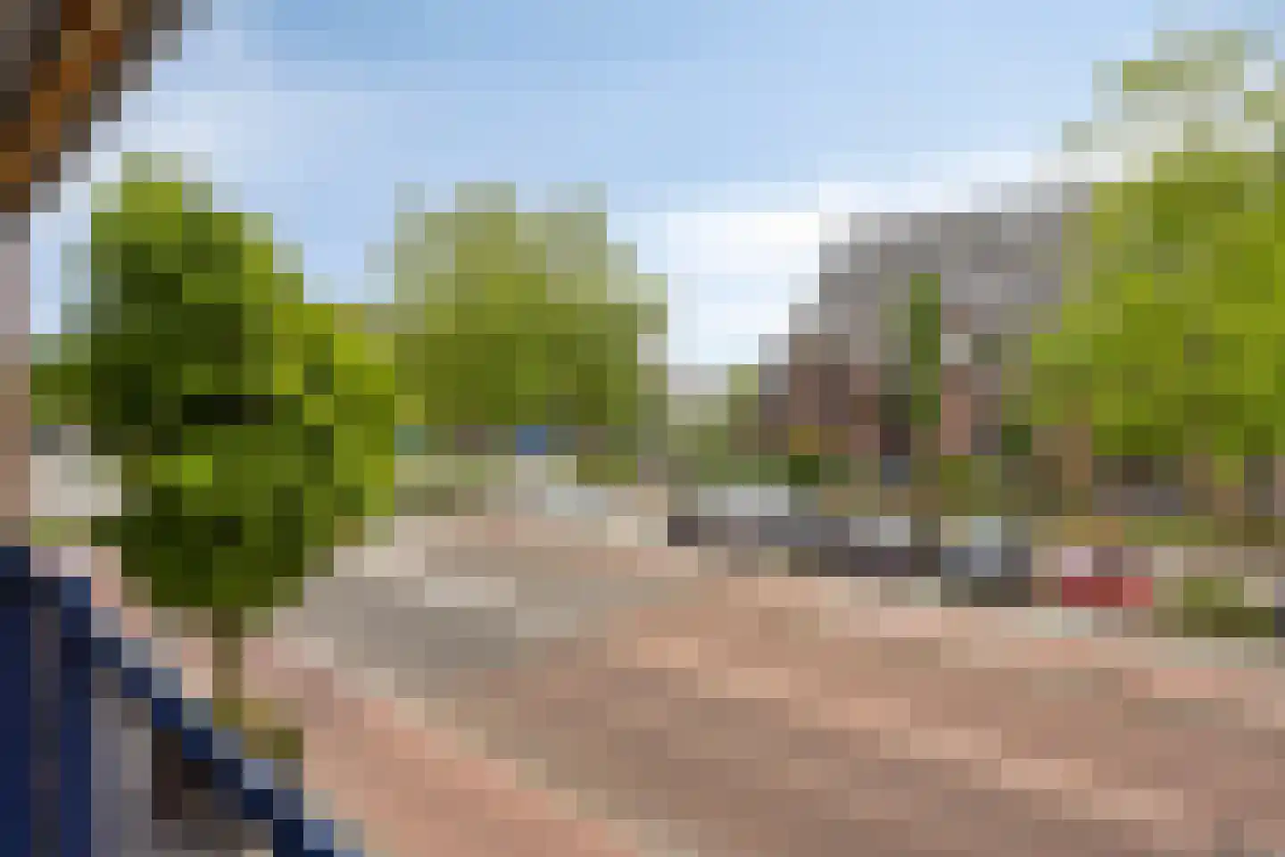 Carolusdreef 20 Valkenswaard thumbnail 23