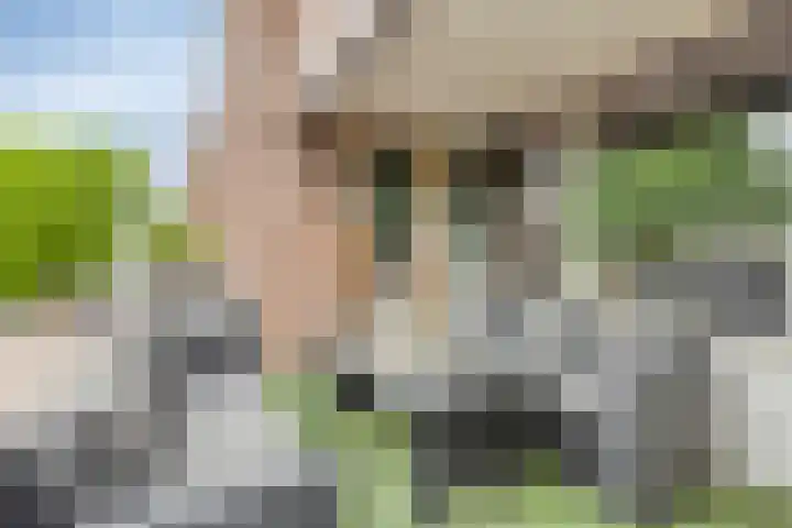 Carolusdreef 30 Valkenswaard thumbnail 12