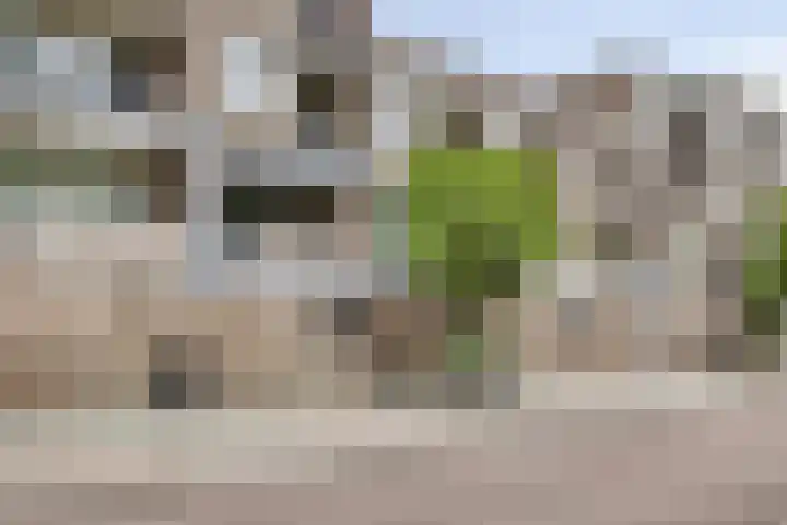 Carolusdreef 30 Valkenswaard thumbnail 20