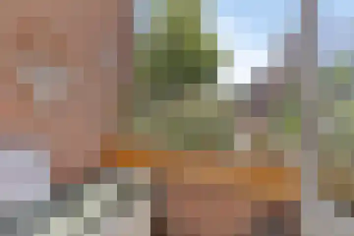 Carolusdreef 6 Valkenswaard thumbnail 18