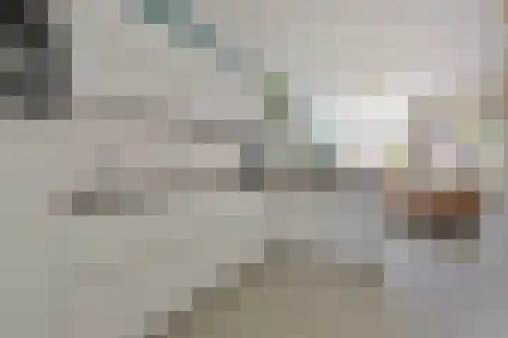 Carolusdreef 6 Valkenswaard thumbnail 4