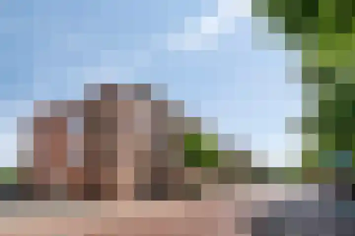 Carolusdreef 68 Valkenswaard thumbnail 11