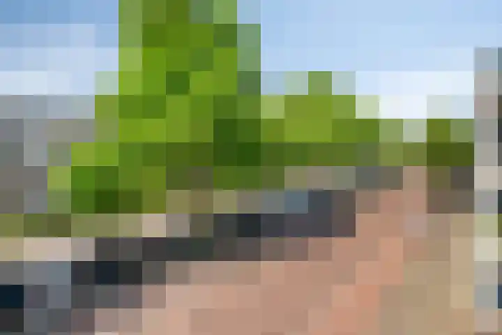 Carolusdreef 68 Valkenswaard thumbnail 31