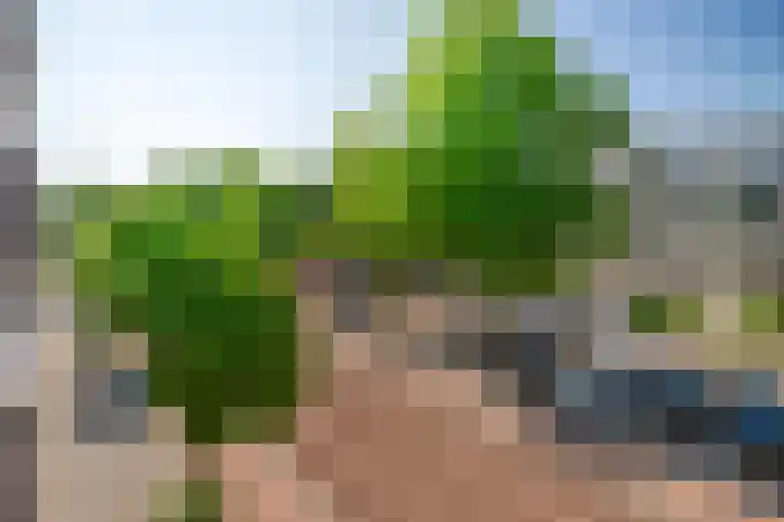 Carolusdreef 68 Valkenswaard thumbnail 32