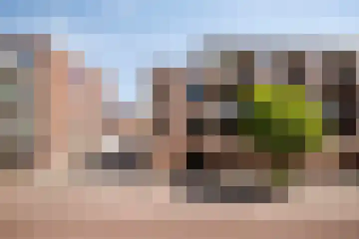 Carolusdreef 68 Valkenswaard thumbnail 6