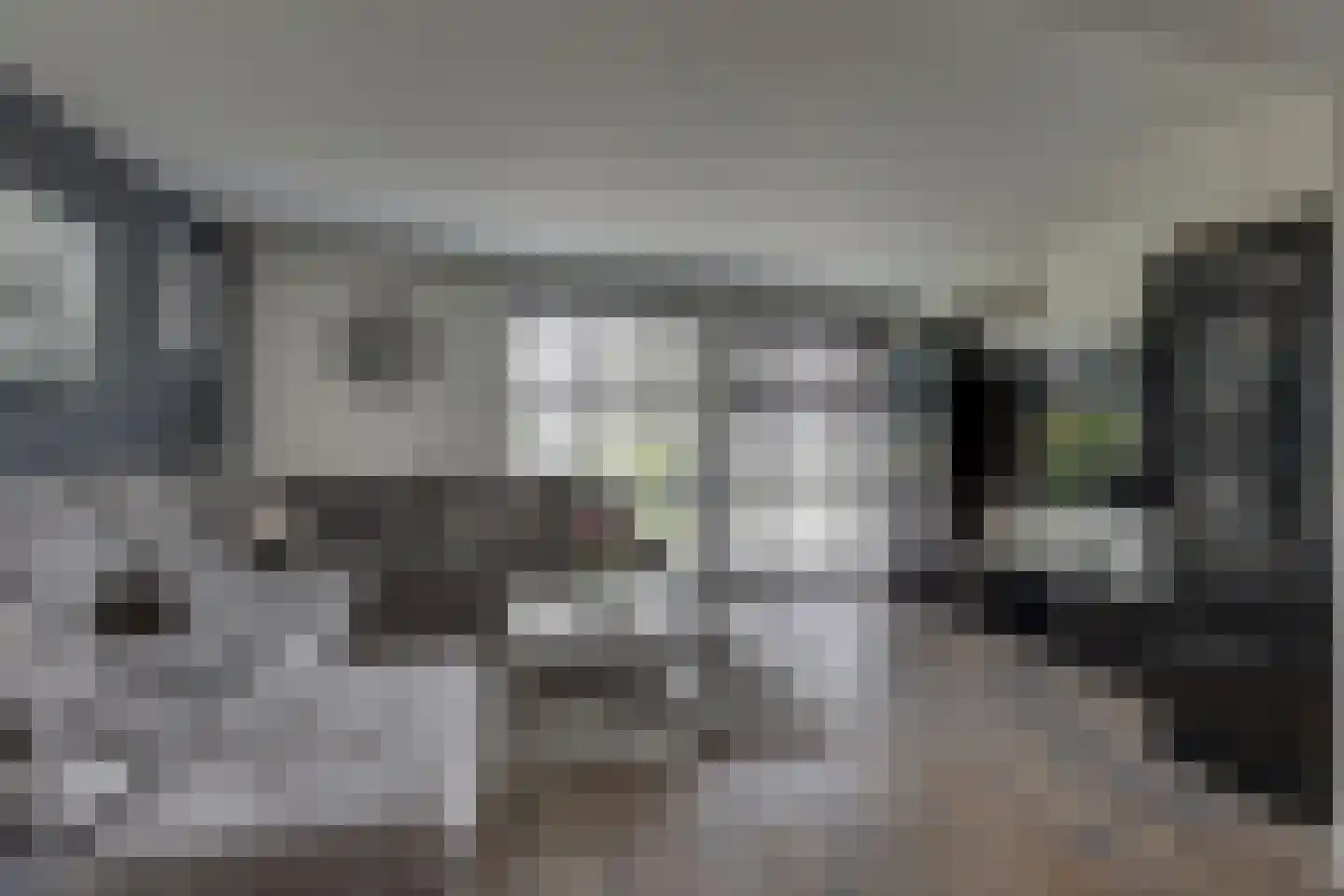 Carolusgulden 17 Dronten thumbnail 7