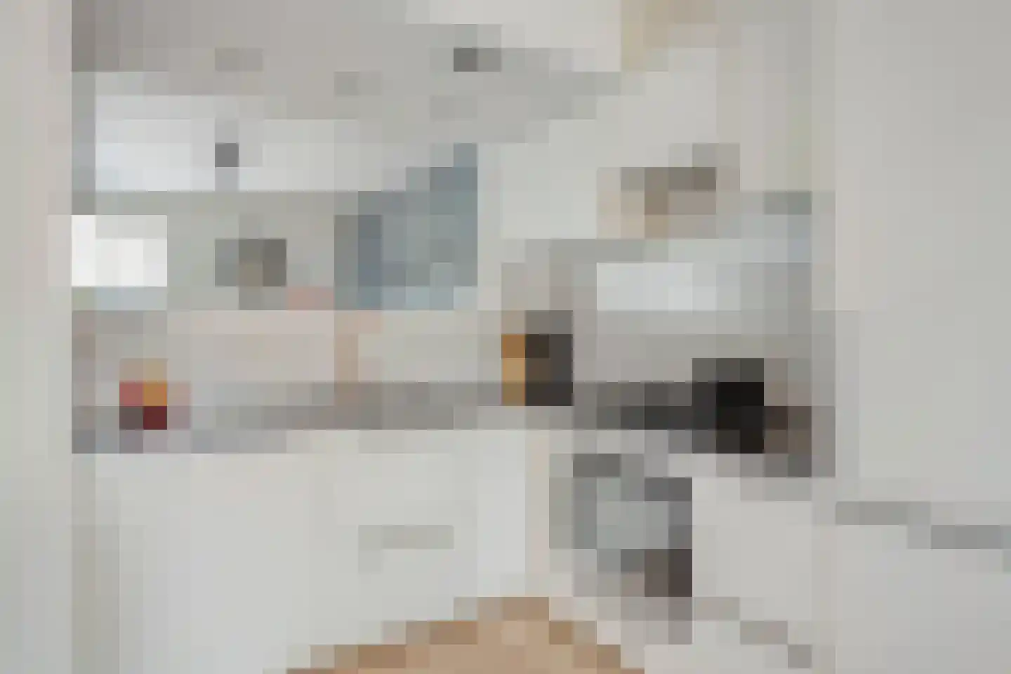 Carolusgulden 7 Dronten thumbnail 12