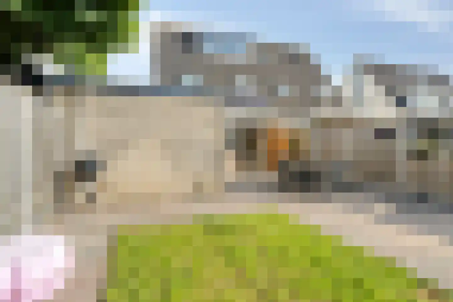 Carolusgulden 7 Dronten thumbnail 29