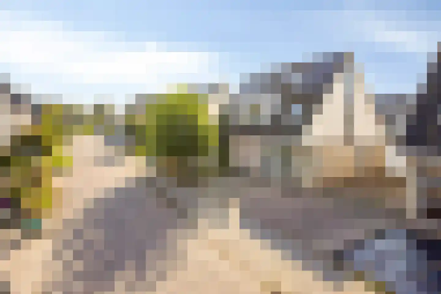 Carolusgulden 7 Dronten thumbnail 36