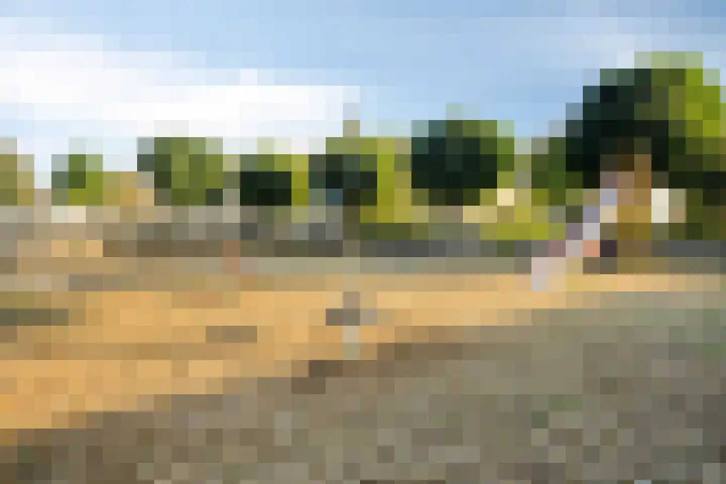 Carolusgulden 7 Dronten thumbnail 40