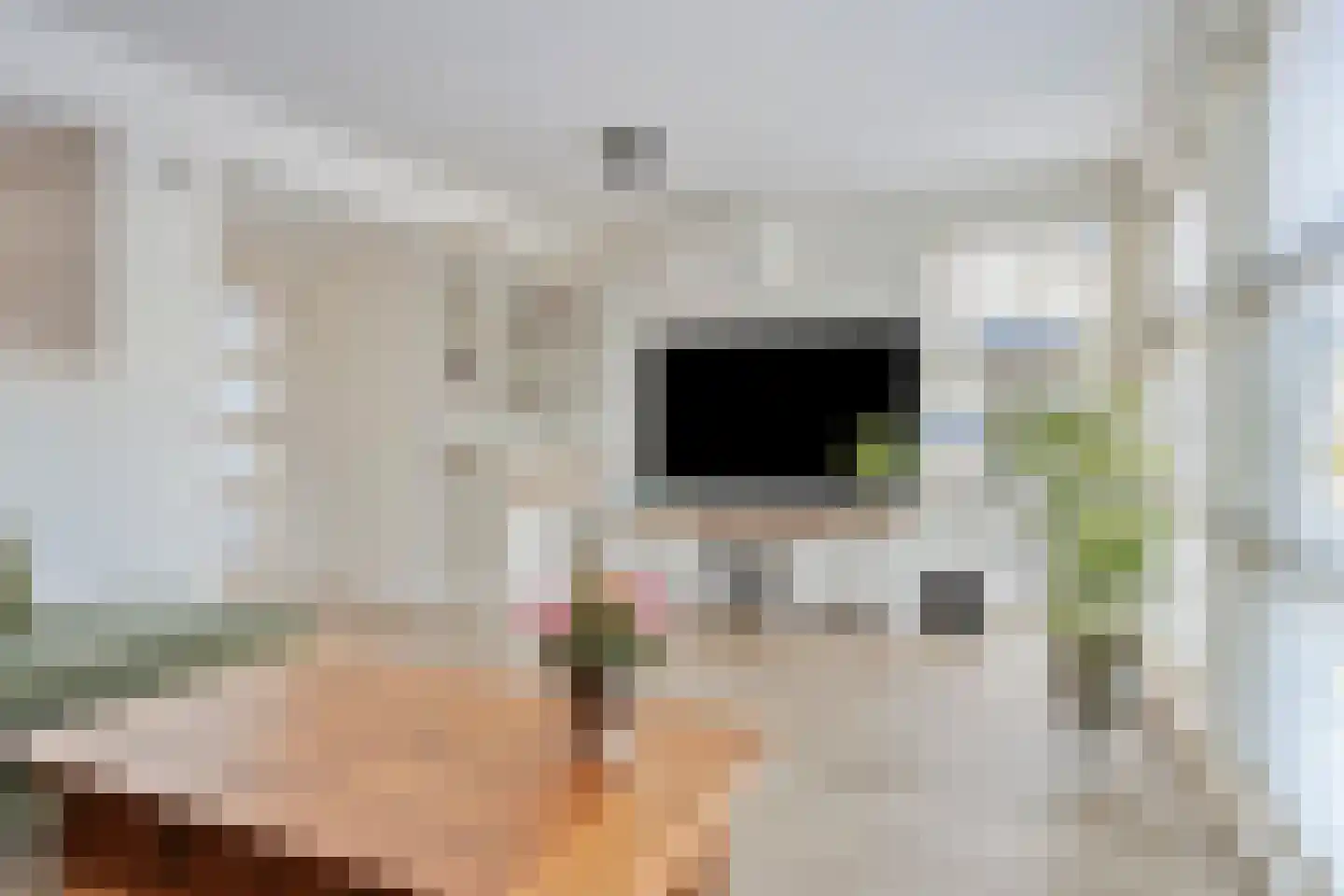 Carolusgulden 7 Dronten thumbnail 9