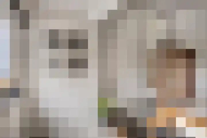 Carolusweg 16 Gronsveld thumbnail 24