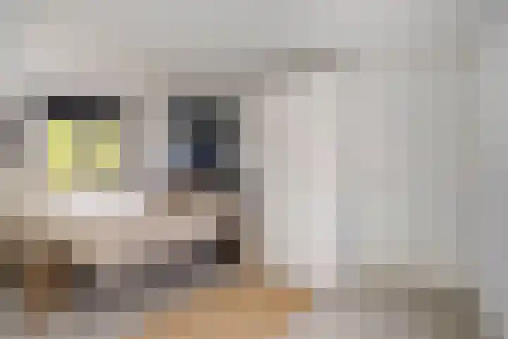 Carolusweg 16 Gronsveld thumbnail 25