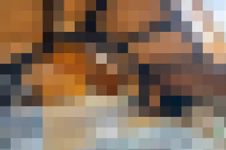Carolusweg 16 Gronsveld thumbnail 35