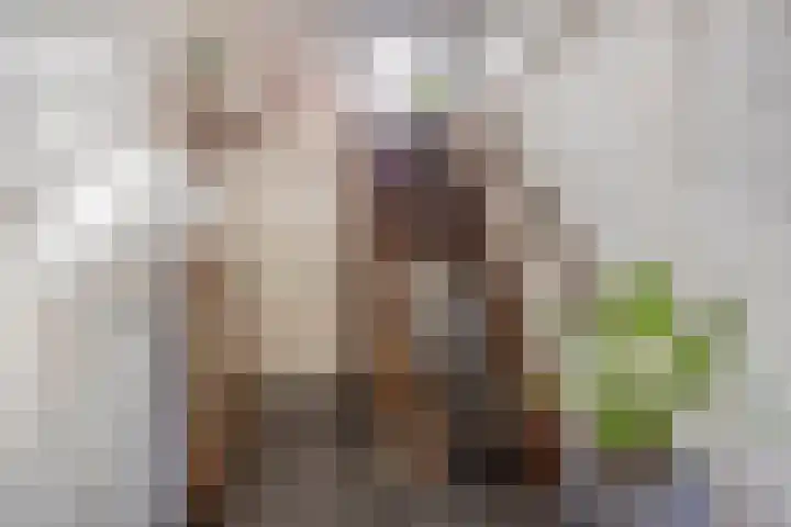 Carolusweg 16 Gronsveld thumbnail 4