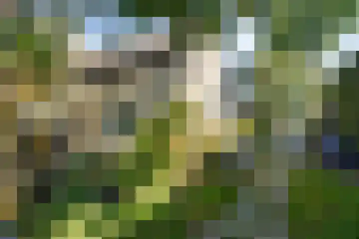 Carolusweg 16 Gronsveld thumbnail 41