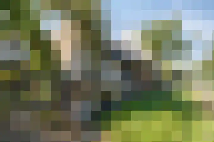 Carolusweg 16 Gronsveld thumbnail 42
