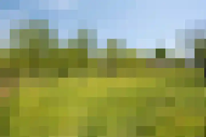 Carolusweg 16 Gronsveld thumbnail 54