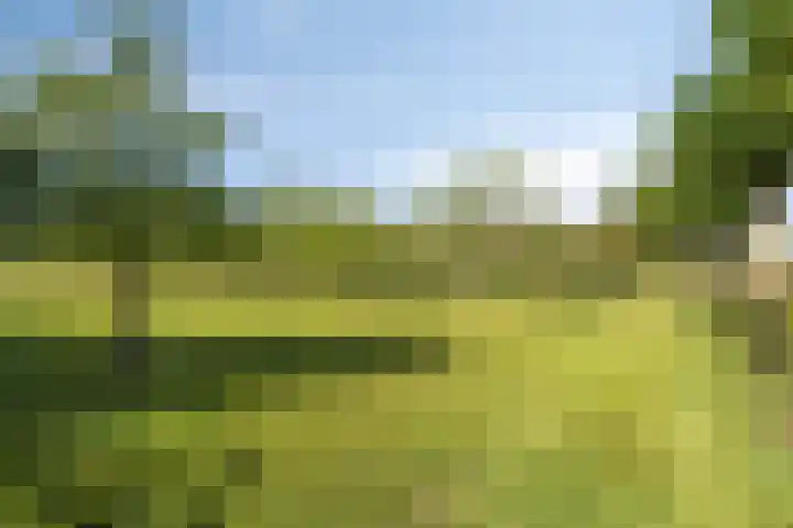 Carolusweg 16 Gronsveld thumbnail 55