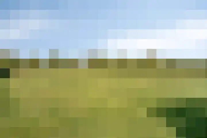 Carolusweg 16 Gronsveld thumbnail 57