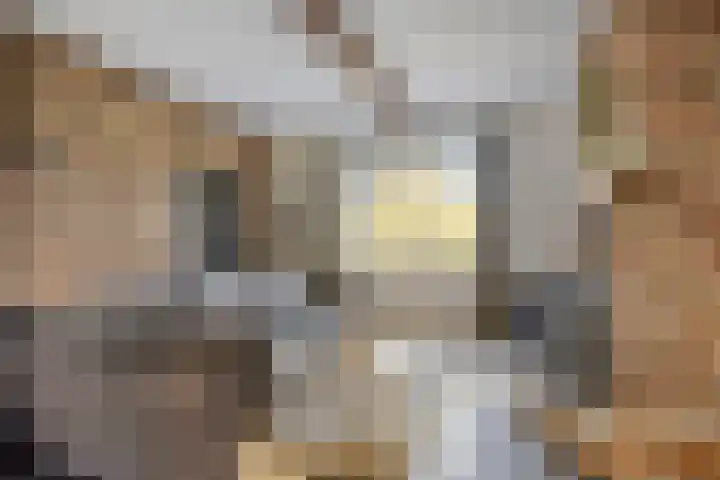 Carolusweg 16 Gronsveld thumbnail 8