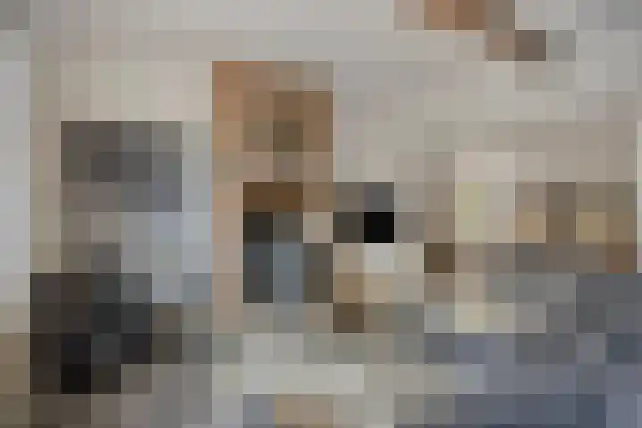 Carolusweg 16 Gronsveld thumbnail 9