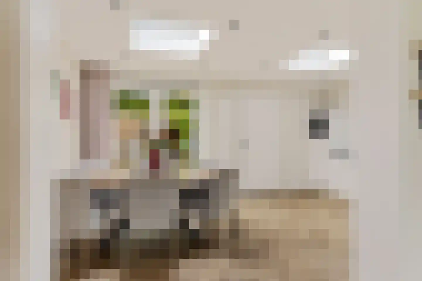 Carpentier Altingstraat 22 Dokkum thumbnail 4