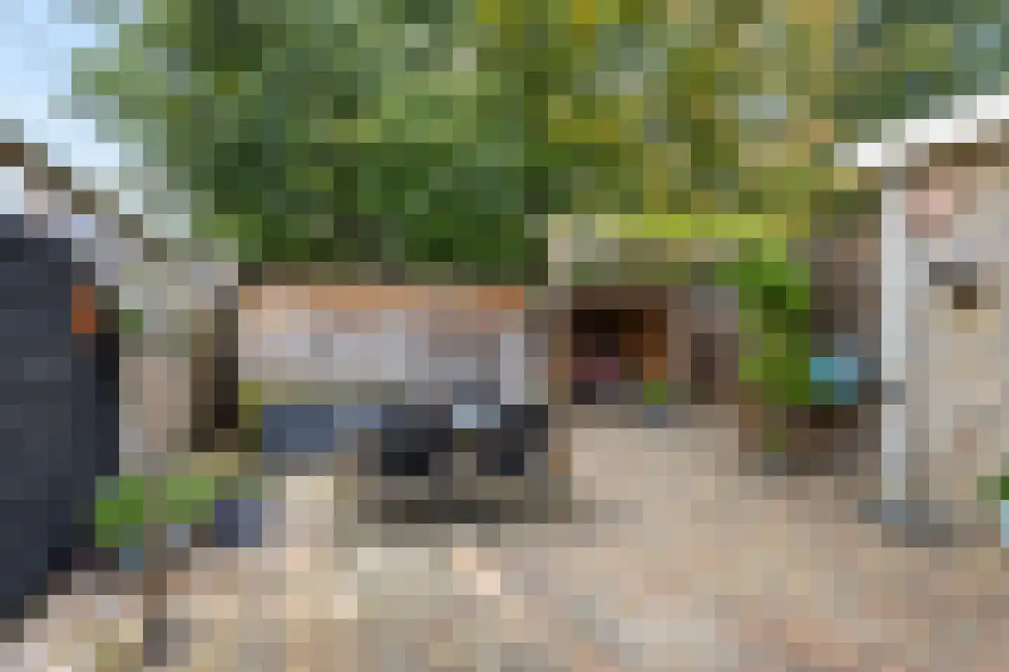 Carpentier Altingstraat 22 Dokkum thumbnail 5