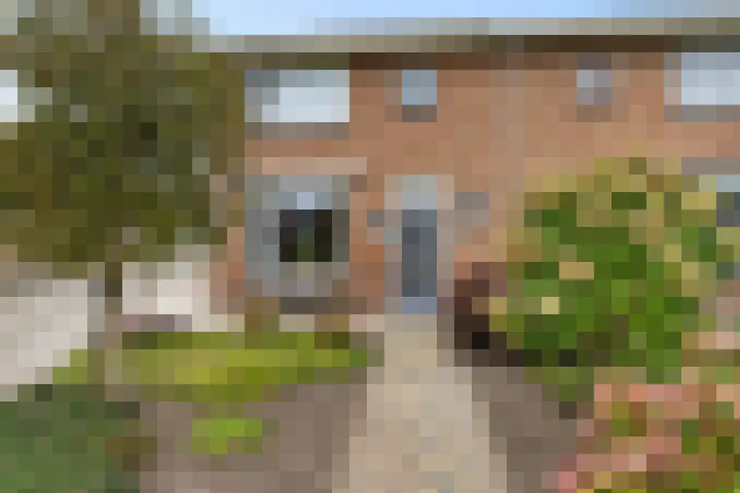 Carpentier Altingstraat 22 Dokkum thumbnail 6