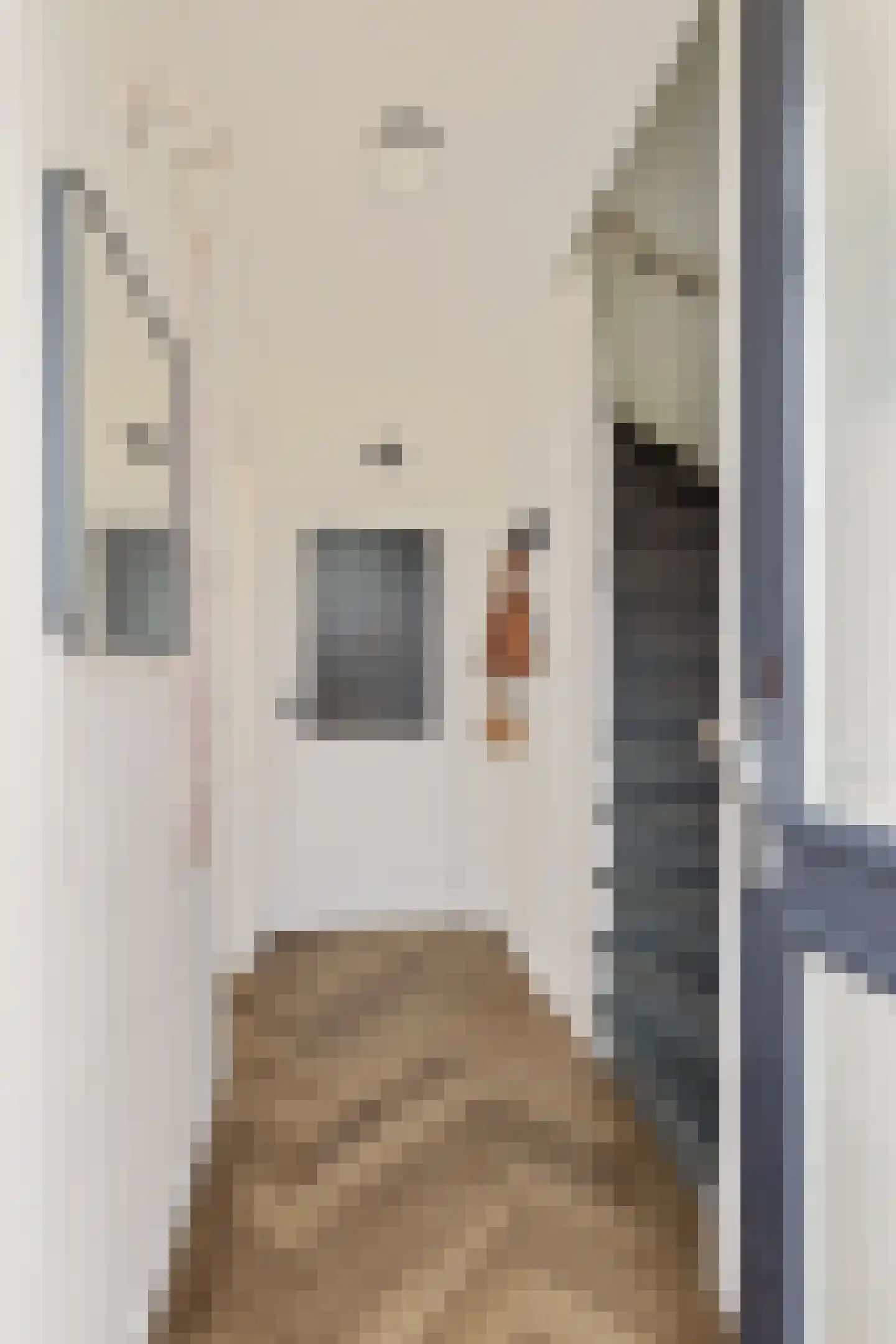 Carpentier Altingstraat 22 Dokkum thumbnail 7