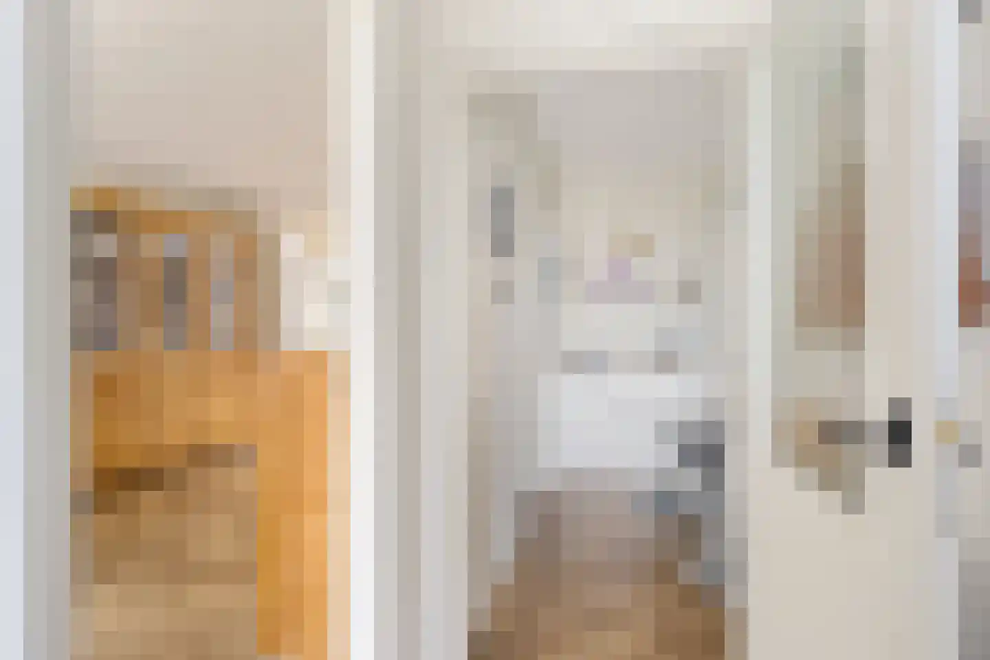 Carpentier Altingstraat 22 Dokkum thumbnail 9