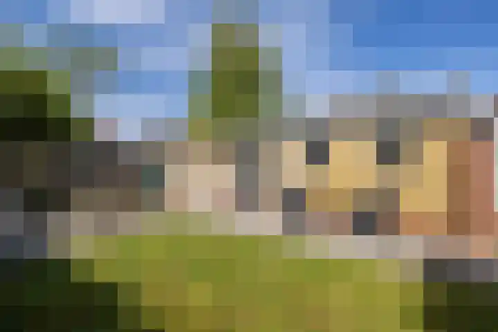 Carpentier Altingstraat 4 Dokkum thumbnail 4