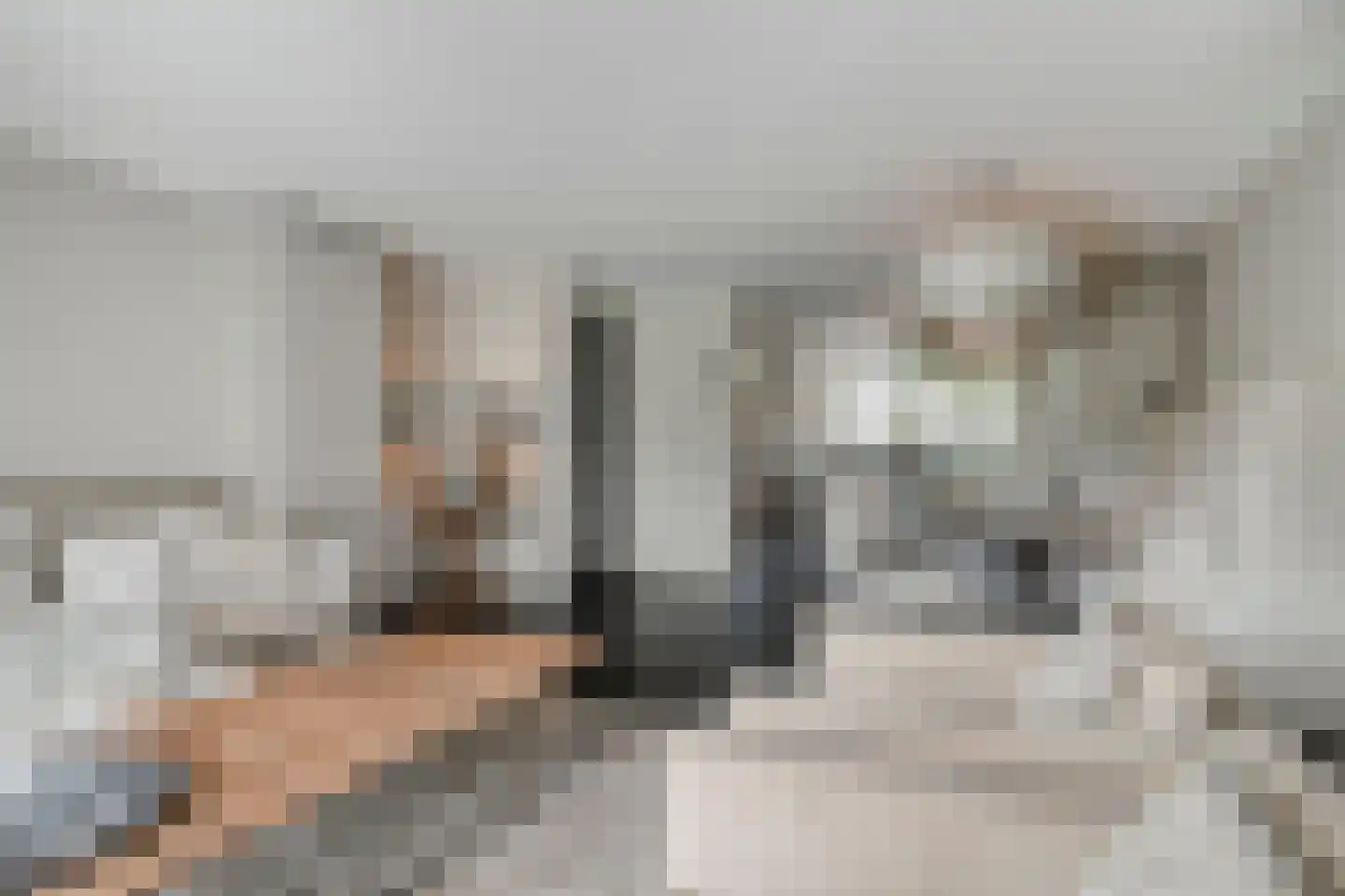 Carrie van Bruggenstraat 19 Spijkenisse thumbnail 10