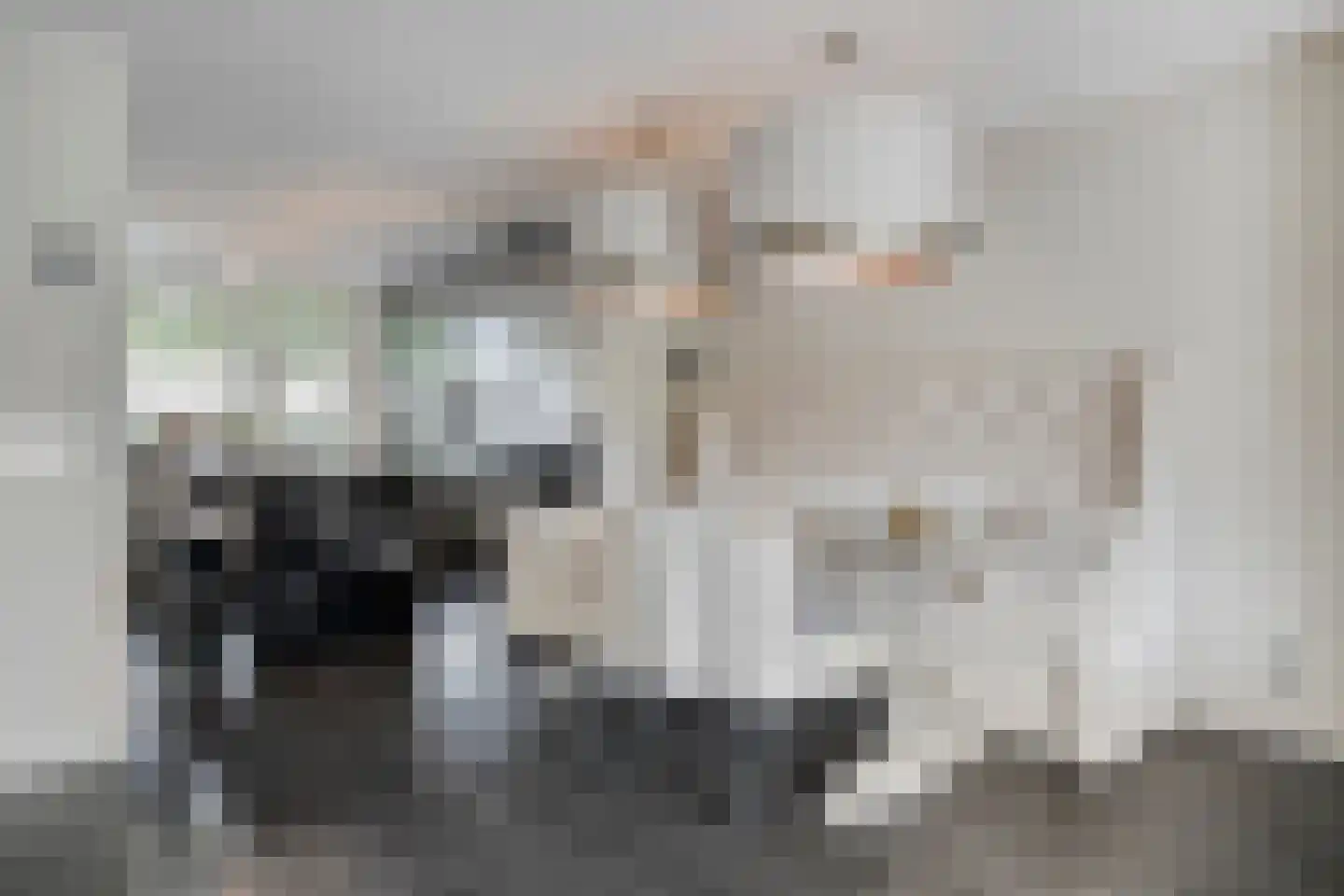 Carrie van Bruggenstraat 19 Spijkenisse thumbnail 12