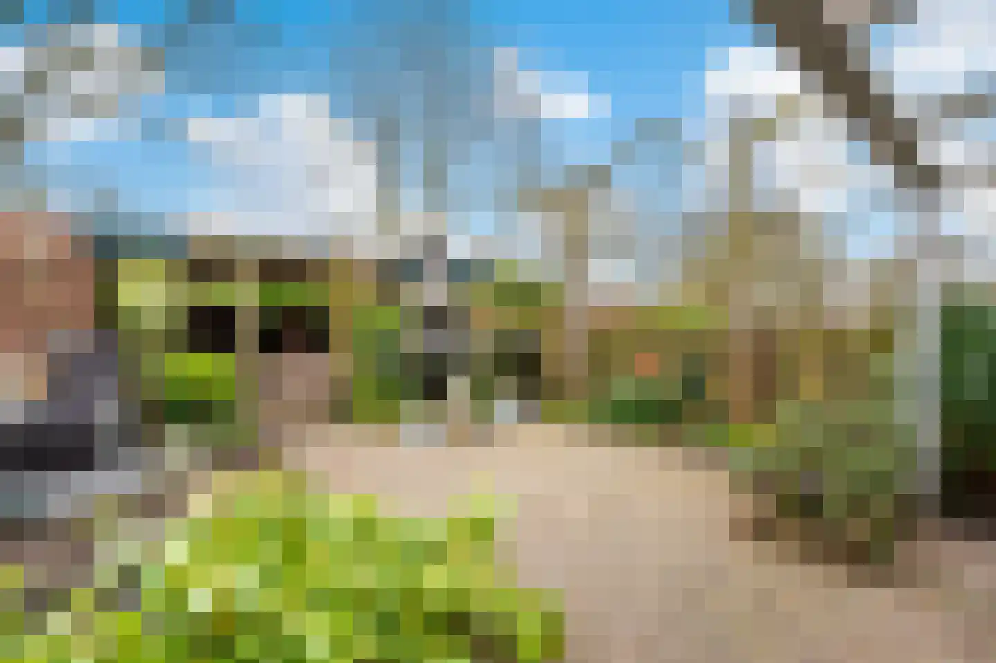 Carrouselweg 81 Apeldoorn thumbnail 13