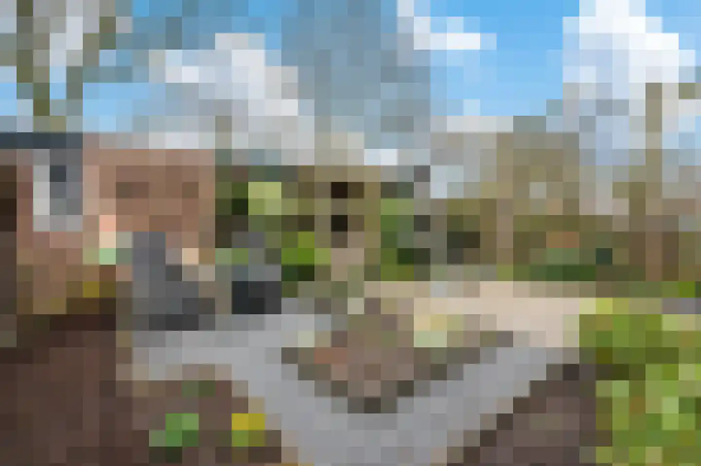Carrouselweg 81 Apeldoorn thumbnail 18