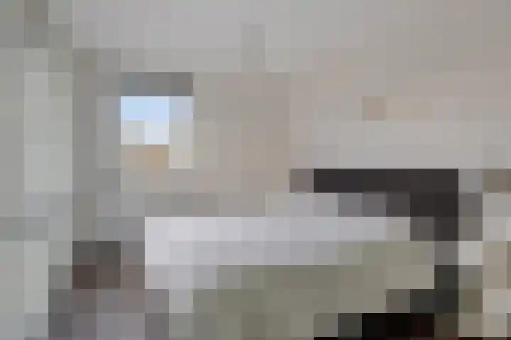 Carry Pothuis-Smitstraat 37 Spijkenisse thumbnail 21