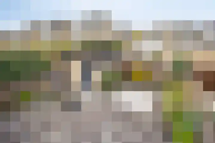 Carry Pothuis-Smitstraat 37 Spijkenisse thumbnail 38