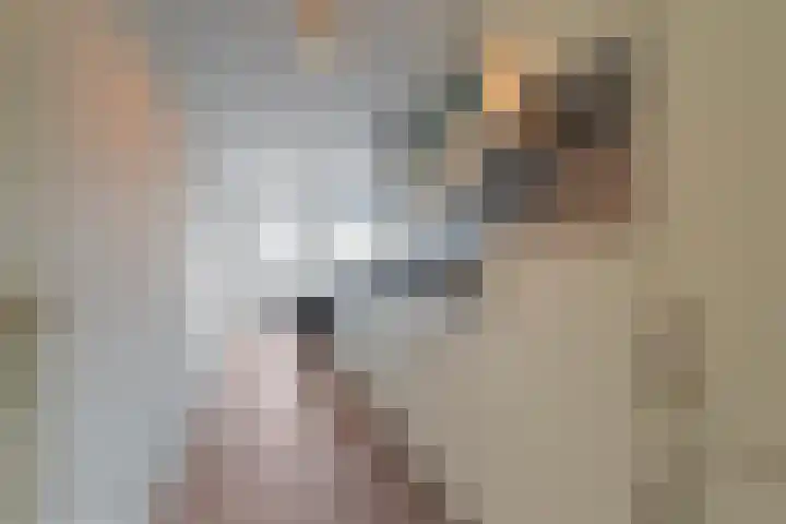 Carry Pothuis-Smitstraat 6 Amsterdam thumbnail 7