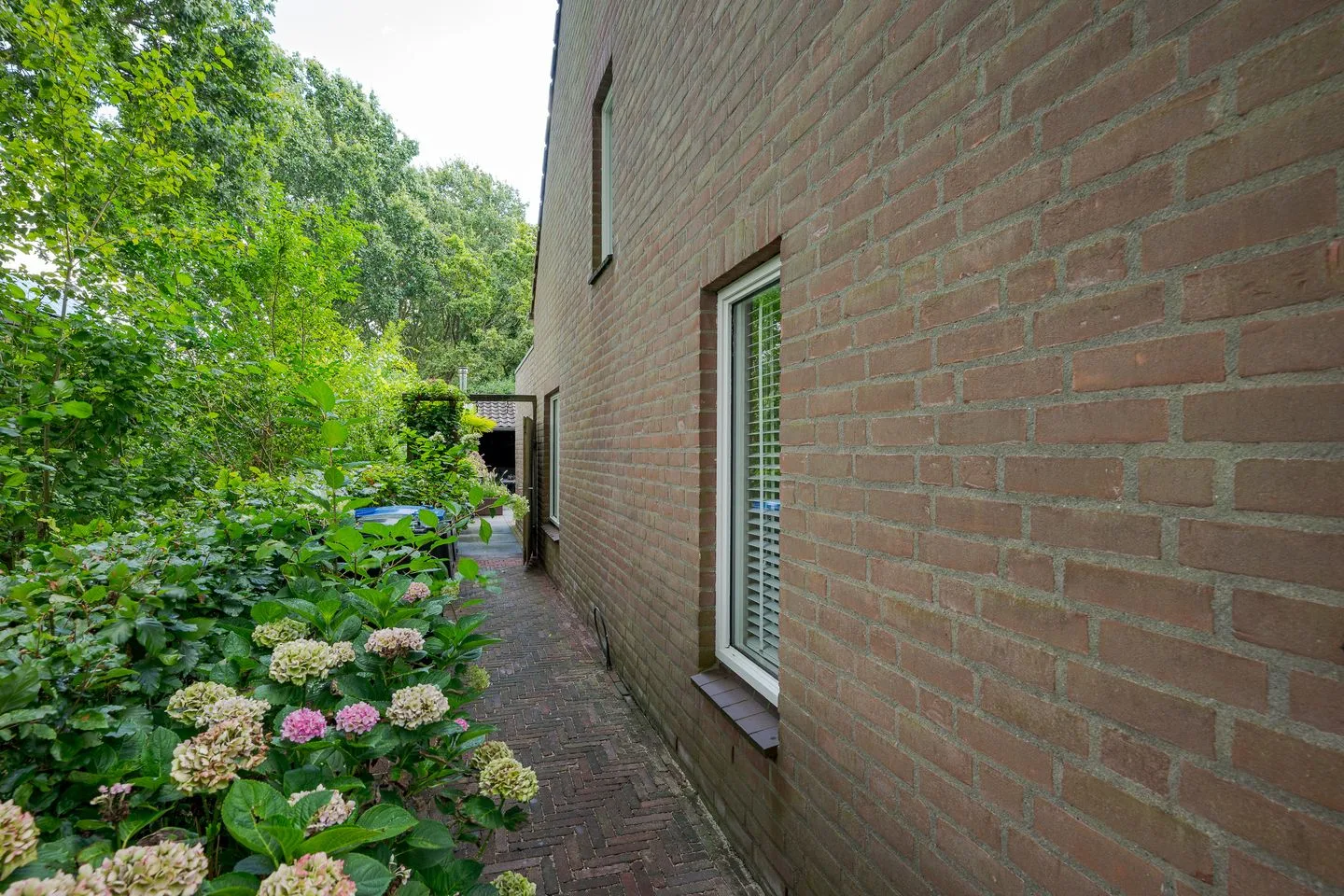 Carry Pothuiserf 30 Voorschoten thumbnail 35