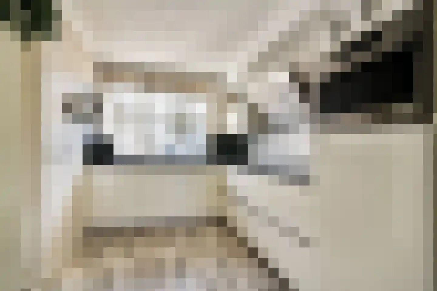 Carry Pothuiskade 116 Vlaardingen thumbnail 13