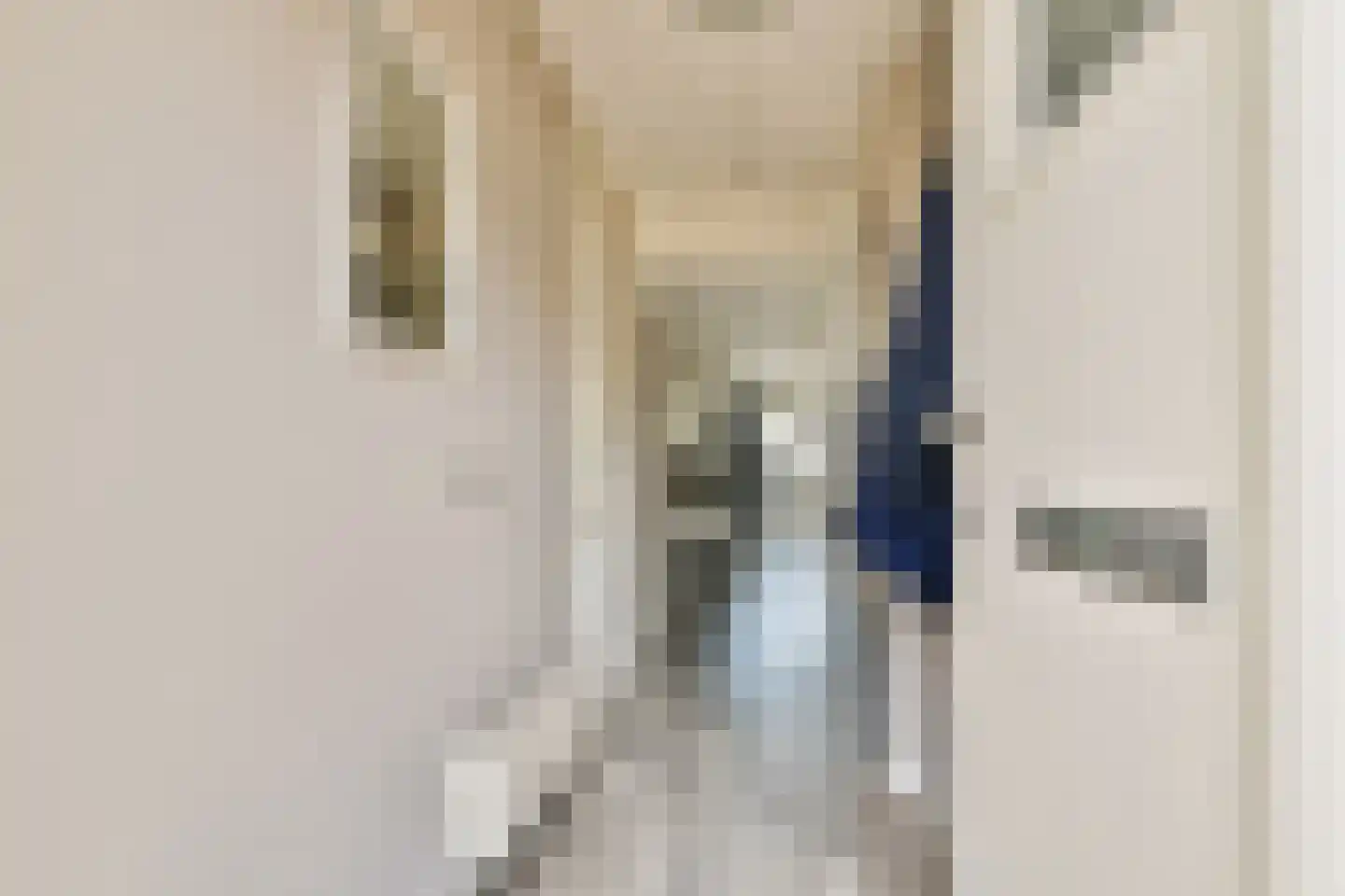Carry Pothuiskade 116 Vlaardingen thumbnail 8